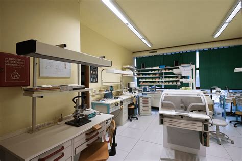 centro polispecialistico crema